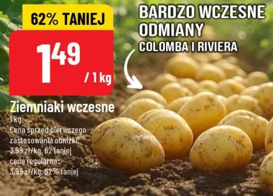 ziemniaki wczesne