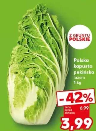 kapusta pekińska