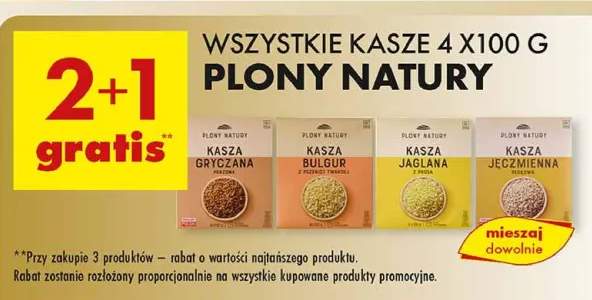 kasza jęczmienna