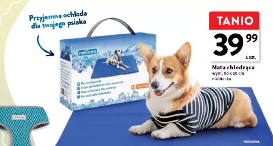 mata chłodząca do samochodu