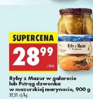 ryba w galarecie
