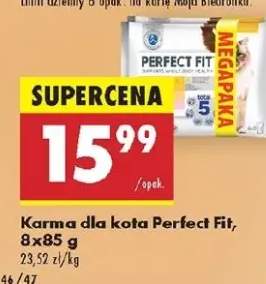 karma dla kota