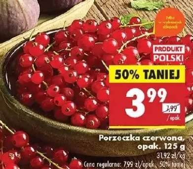 porzeczka czerwona