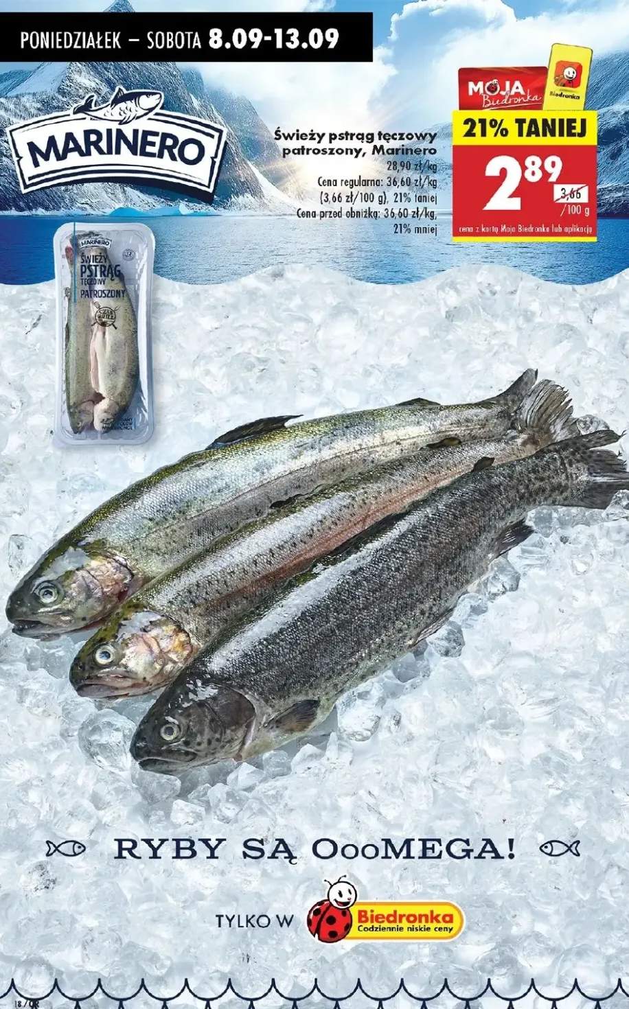 pstrąg tęczowy