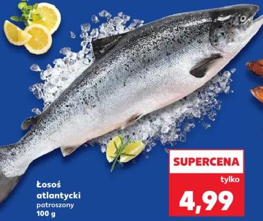 łosoś filet