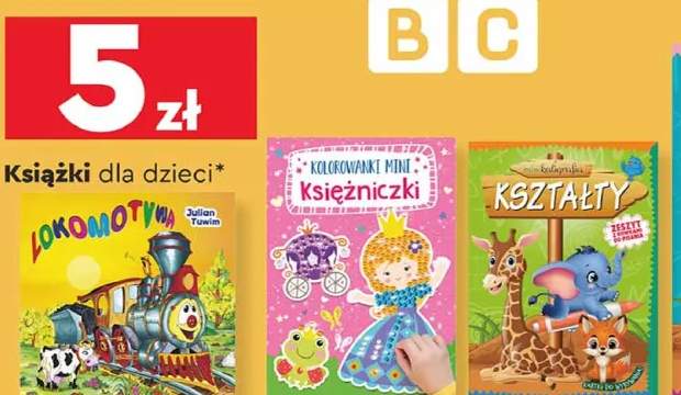 książka edukacyjna