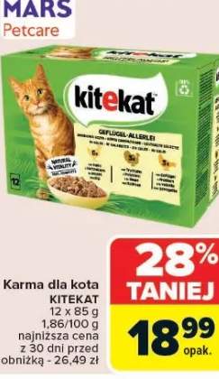 karma dla kota