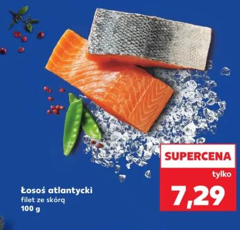 łosoś filet