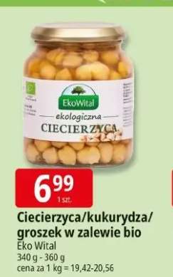 cieciorka konserwowa