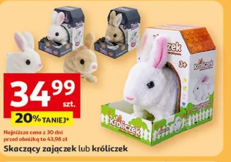 pluszak interaktywny