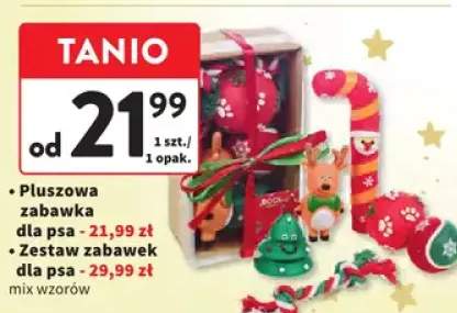 zabawka dla psa