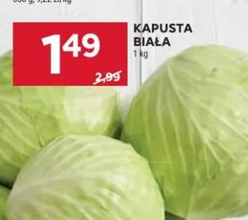 kapusta biała