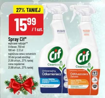 spray do czyszczenia