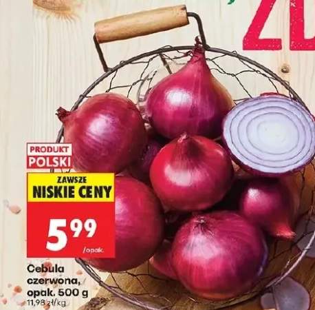 cebula czerwona