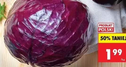kapusta czerwona