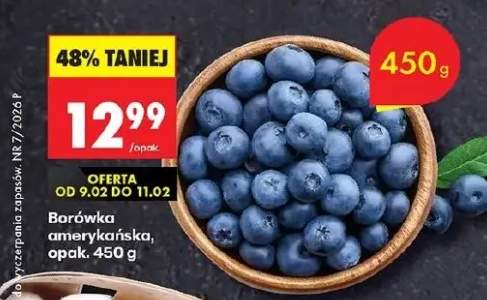 Borówka amerykańska