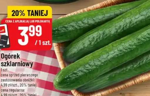 ogórek szklarniowy