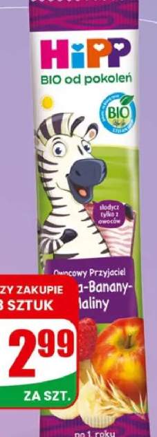 batonik owocowy
