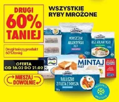 Wszystkie ryby mrożone DRUGIA -60%