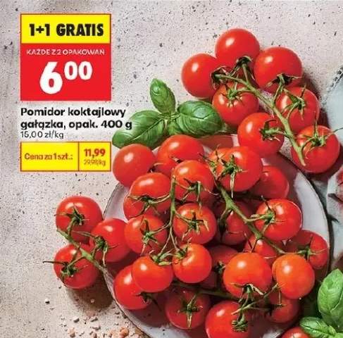 Pomidor koktajlowy gałązka