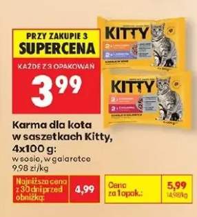 Karma dla kota w saszetkach w sosie, w galaretce