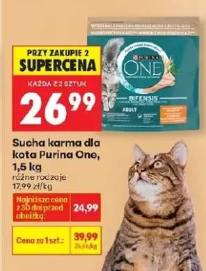 Sucha karma dla kota, różne rodzaje