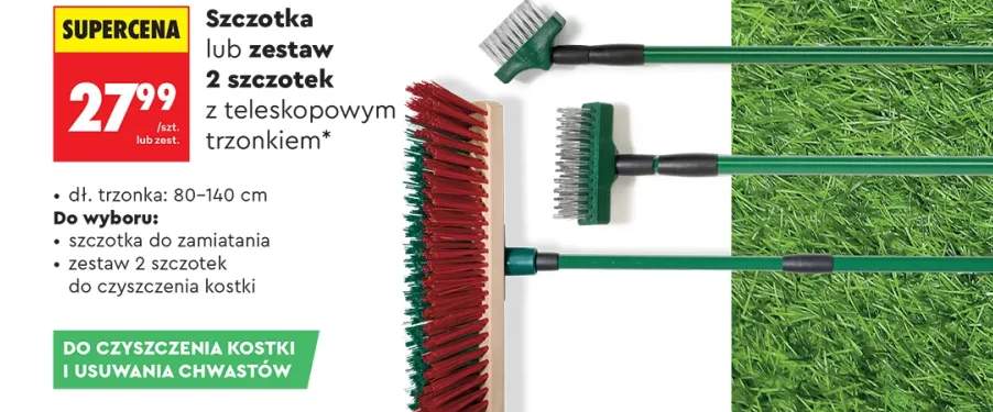 Miniszklarnia do rozsady