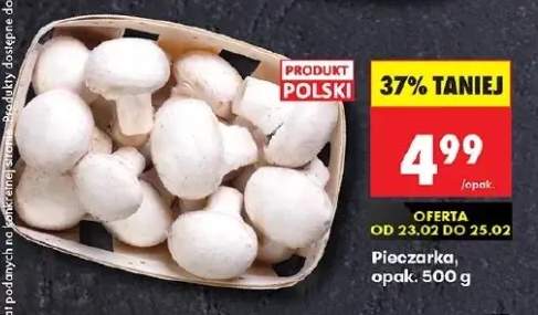 Pieczarka opak. 500 g