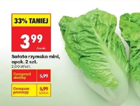 Sałata rzymska mini 2 szt.