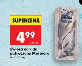 Świeża dorada patroszona