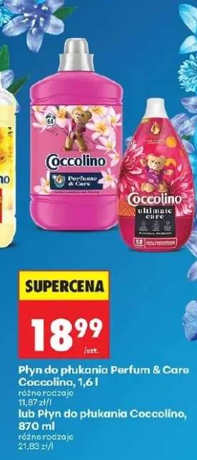 Płyn do płukania Perfum & Care różne rodzaje