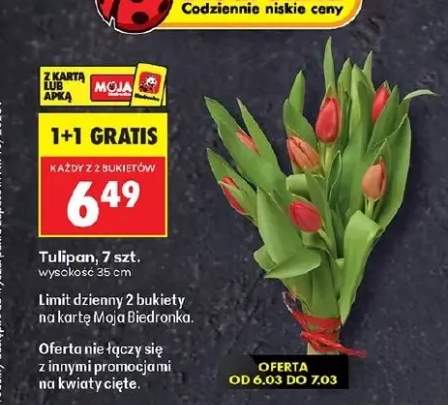 tulipany bukiet