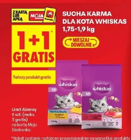 Sucha karma dla kota