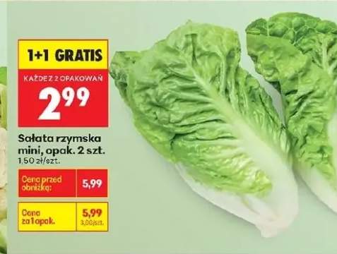 Sałata rzymska mini