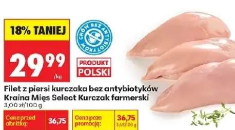 Filet z piersi kurczaka bez antybiotyków