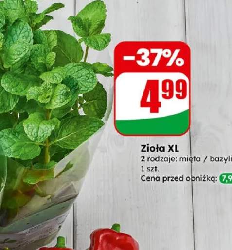 zioła