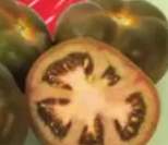 pomidory czekoladowe