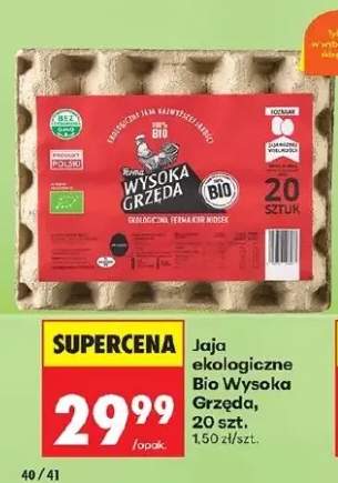 Jaja ekologiczne Wysoka Grzęda