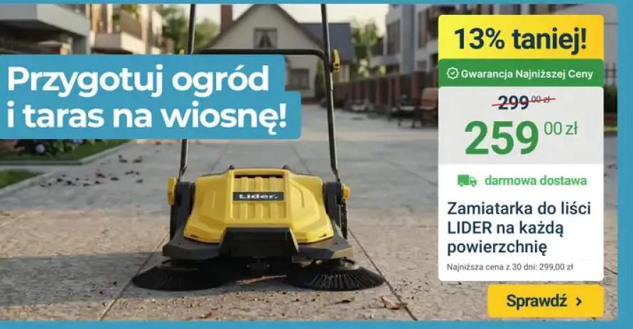 zamiatarka ręczna