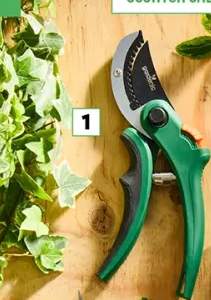 Sekator do cięcia suchych gałęzi nożycowy