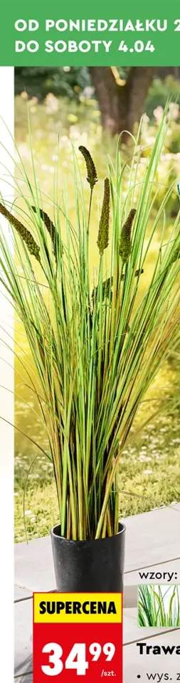 Trawa dekoracyjna