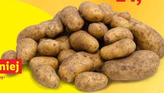 ziemniaki wczesne