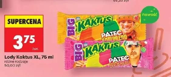Lody Kaktus XL Pateo Bambero