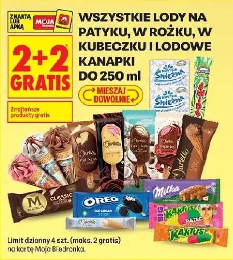 Lody na patyku, w rożku, w kubeczku i lodowe kanapki do 250ml