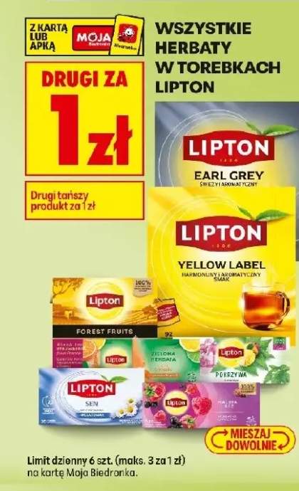 Herbaty w torebkach Forest Fruits