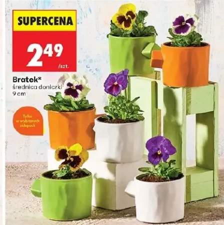 Bratek średnica doniczki 9 cm