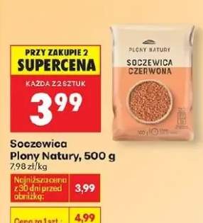 Soczewica