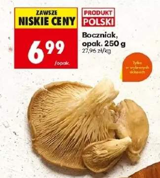 Boczniak