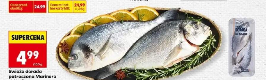 Dorada świeża patroszona