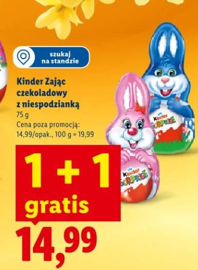 zając czekoladowy